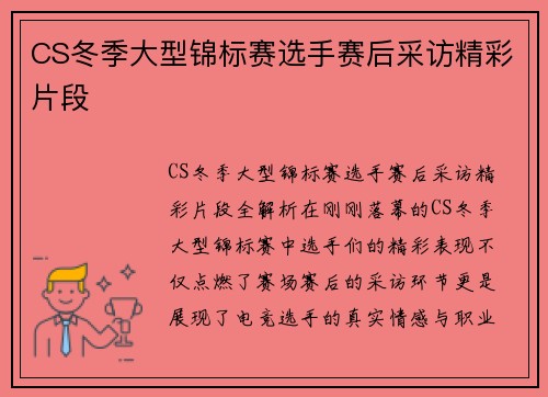 CS冬季大型锦标赛选手赛后采访精彩片段