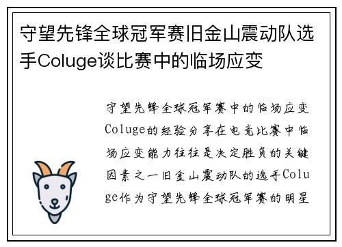 守望先锋全球冠军赛旧金山震动队选手Coluge谈比赛中的临场应变